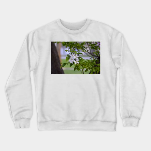 White Crab Apple Blossoms Crewneck Sweatshirt by Drgnfly4free